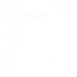 Chat SMS icon